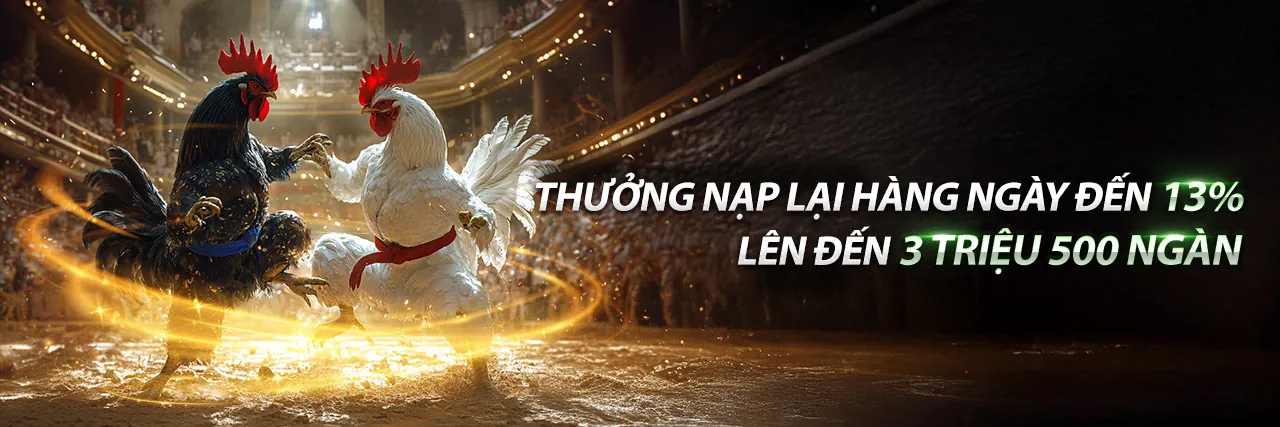 Đá Gà Trực Tuyến Vabet 2026